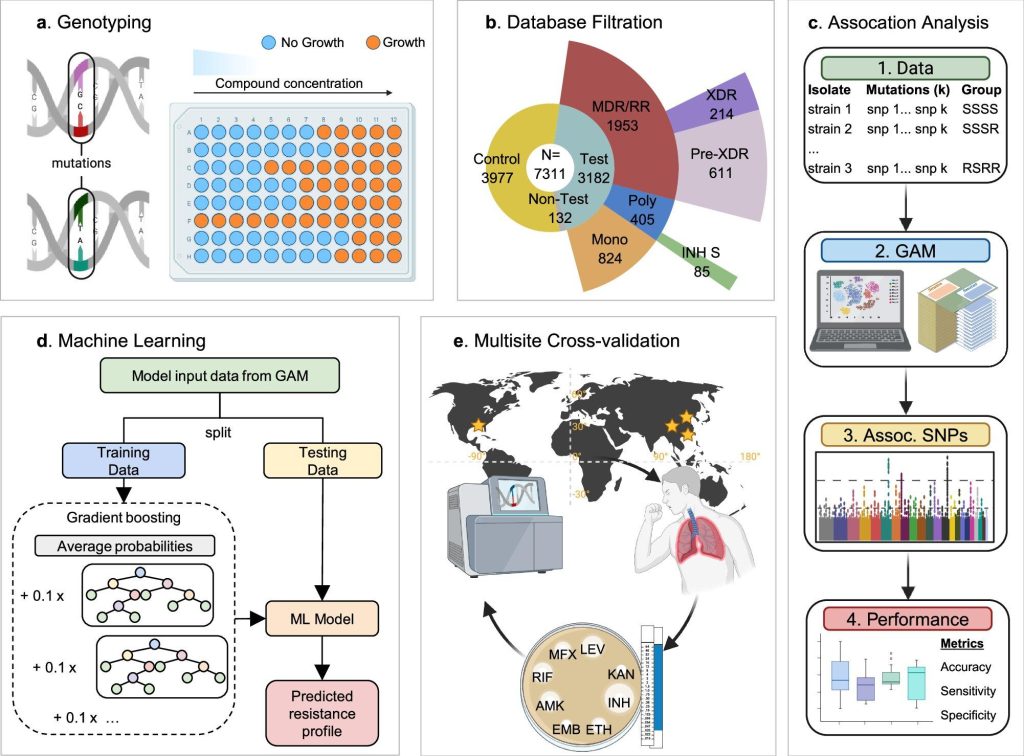 AI Breakthrough Unmasks Hidden Threat of Superbugs