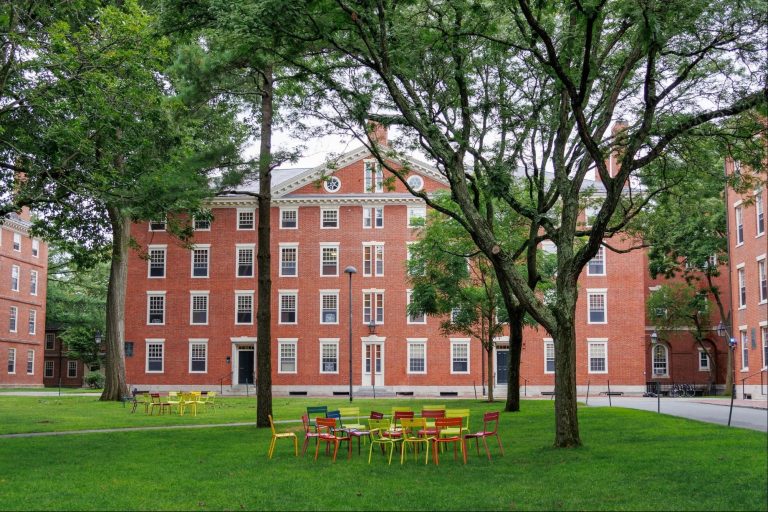 Rejected by Ivy League, Teen CEO Sparks Education Debate